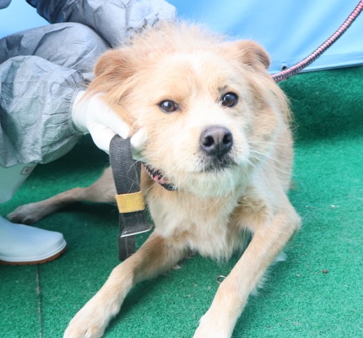 제주 동물보호센터_450650202403678