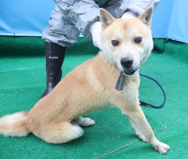 제주 동물보호센터_450650202403685