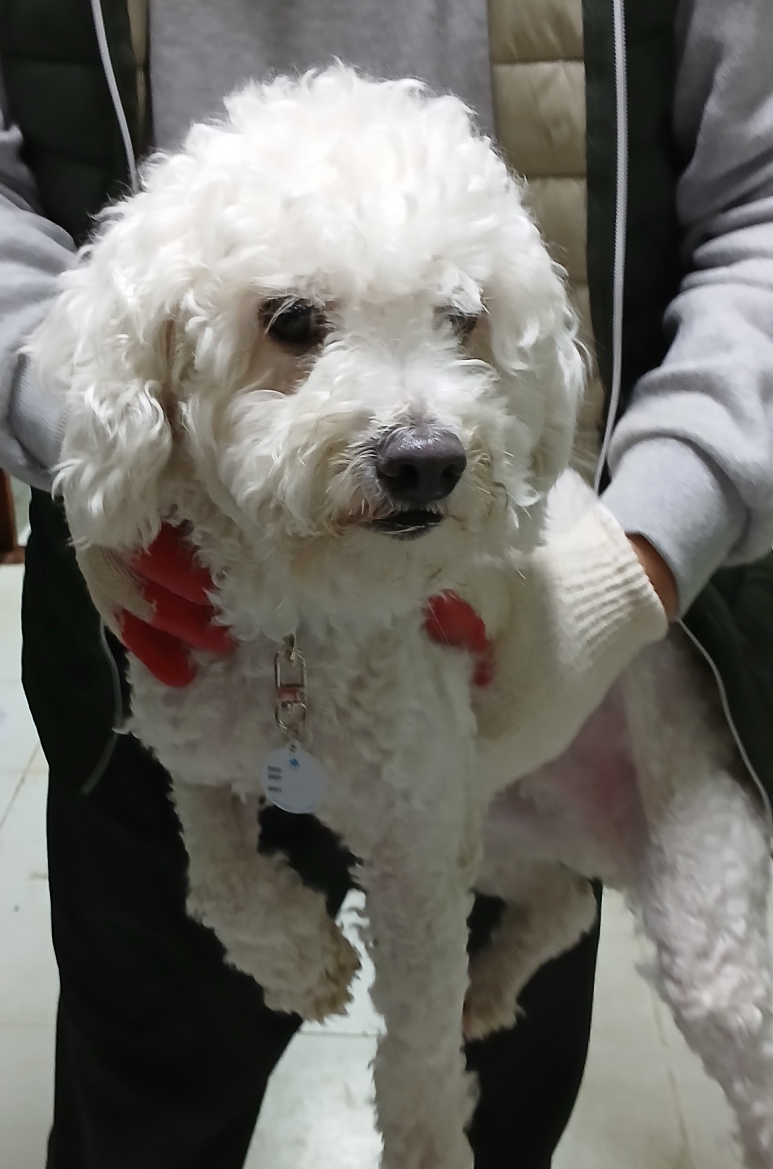 대구유기동물보호센터_427342202400945