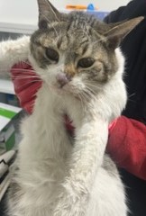 종료(자연사) 한국…