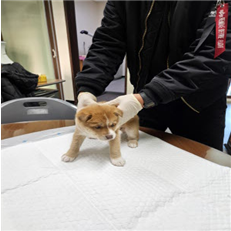 하동군유기동물보호소_448544202400492
