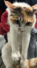 인천광역시수의사회_428353202401339