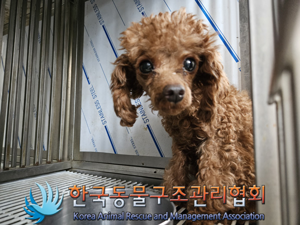 한국동물구조관리협회_441414202401018