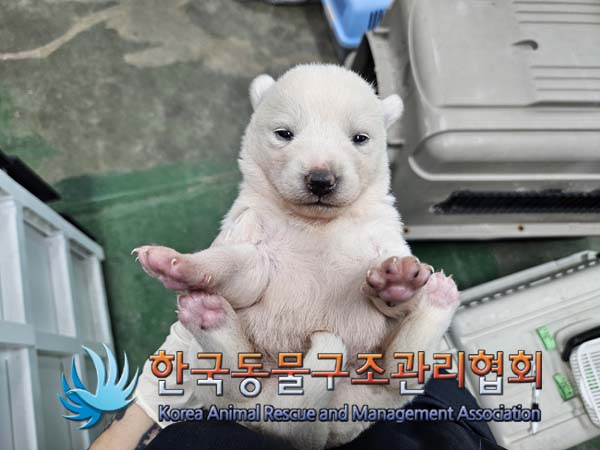 한국동물구조관리협회_441392202400305