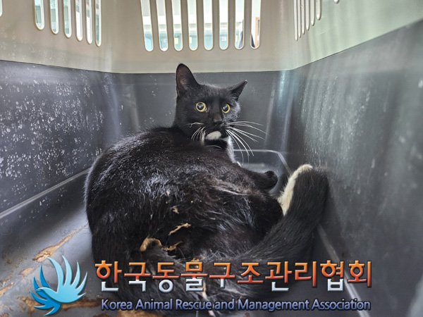 한국동물구조관리협회_411305202400870