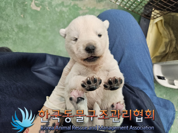 종료(자연사) 믹스…