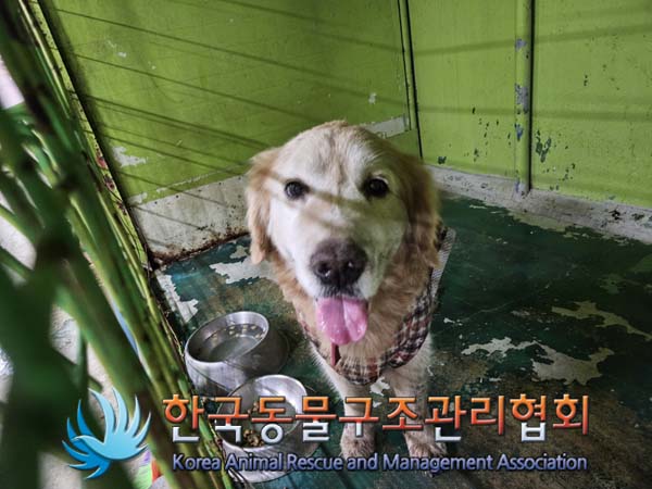 한국동물구조관리협회_441406202402204