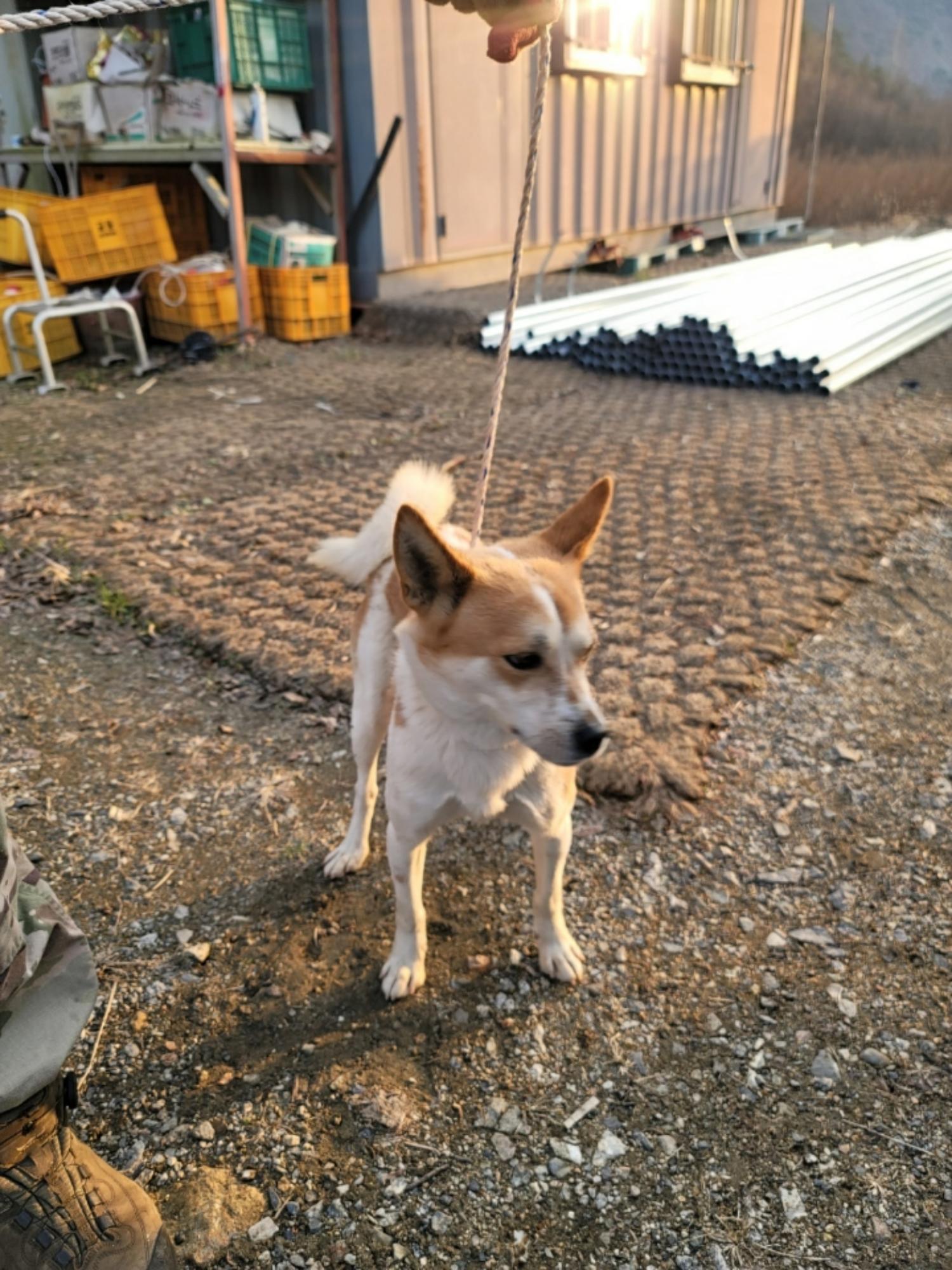 괴산증평동물보호센터_443446202400512