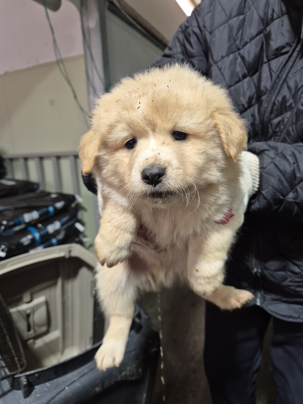 남양동물보호센터_441553202404166