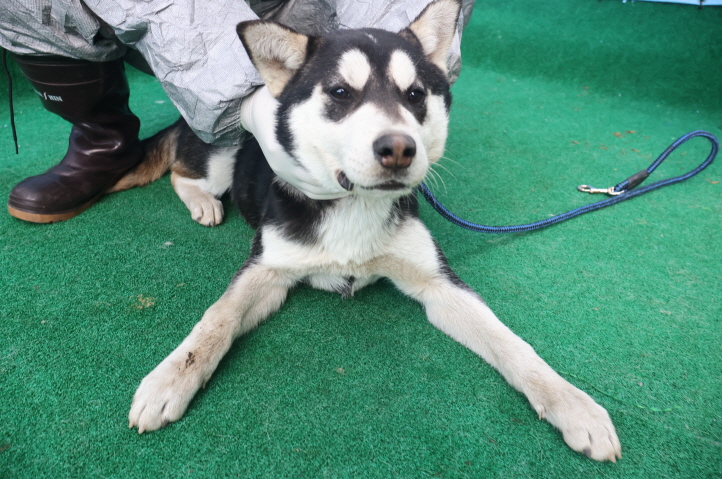 제주 동물보호센터_450650202403695