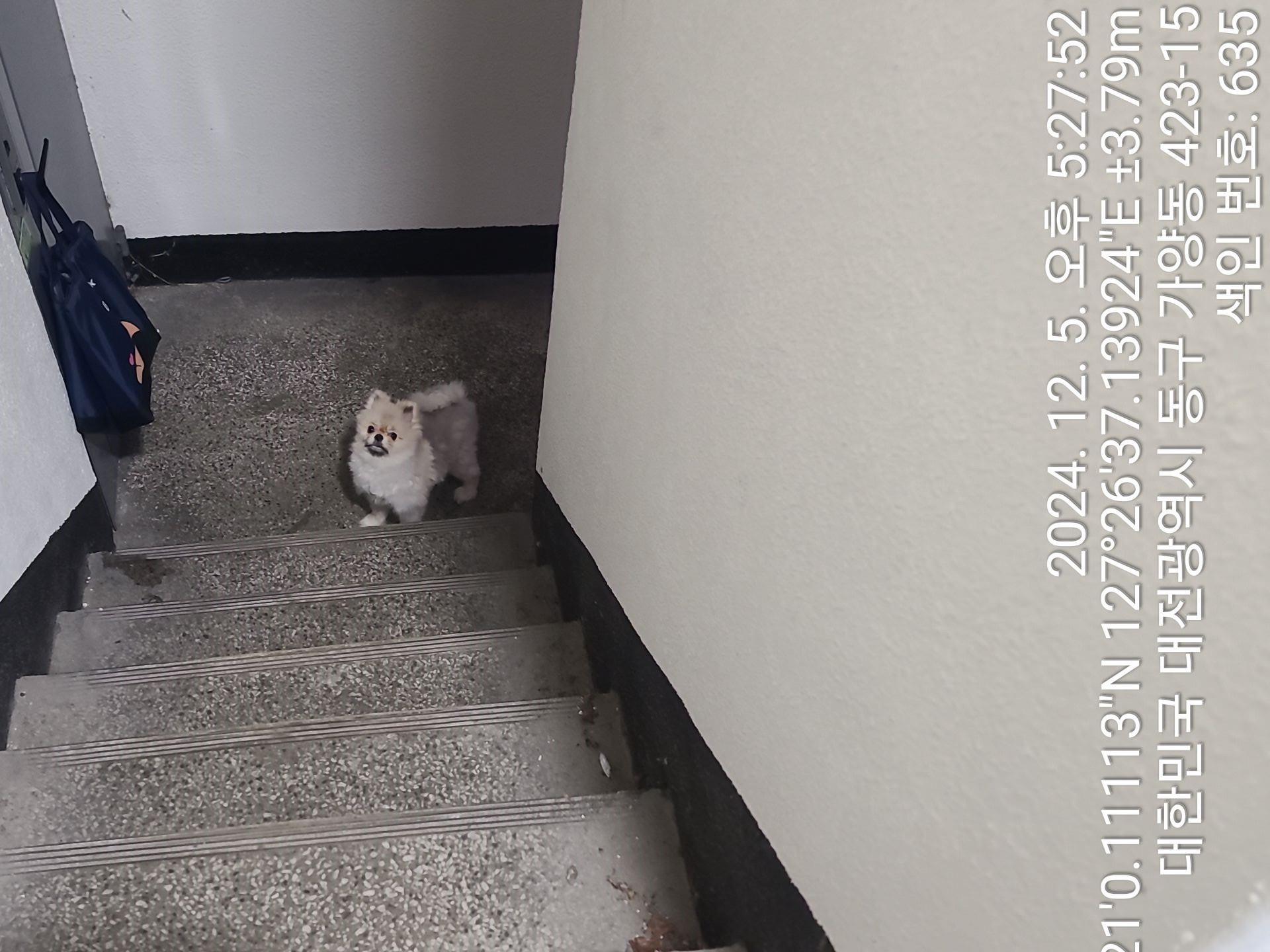 대전동물보호센터_430364202400809