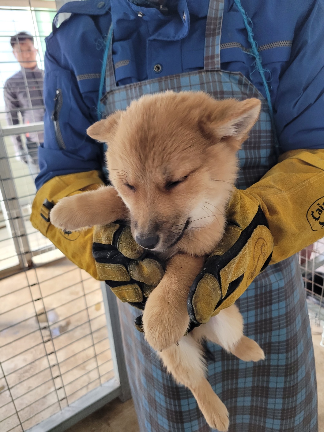 종료(자연사) 믹스…