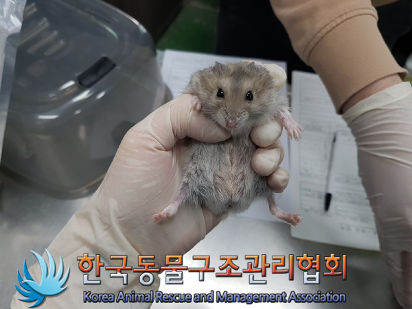 한국동물구조관리협회_441559202401421