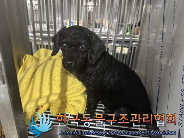 한국동물구조관리협회_411318202400572