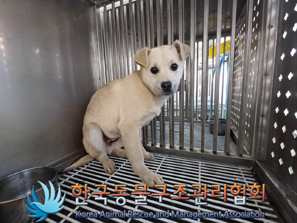 한국동물구조관리협회_441409202402003