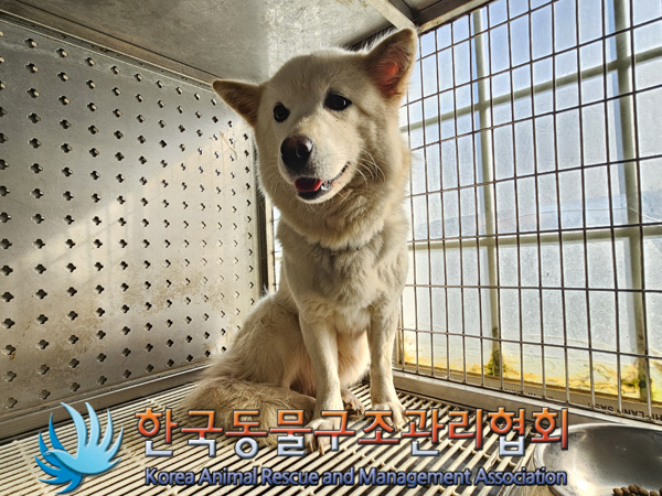 한국동물구조관리협회_441409202402004