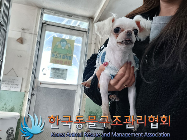 한국동물구조관리협회_441560202401442