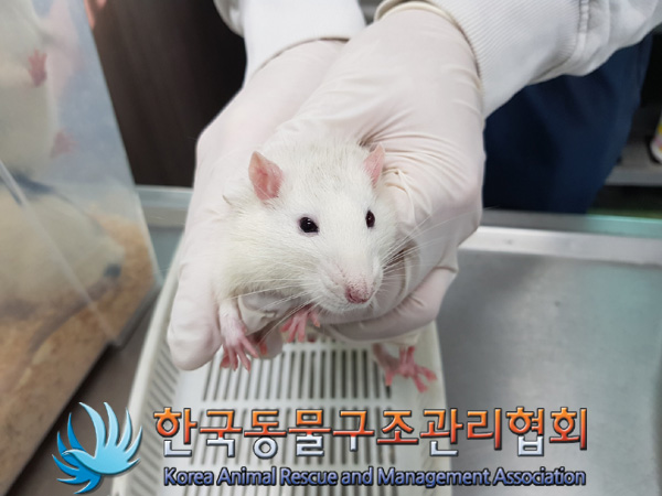 한국동물구조관리협회_411312202400949