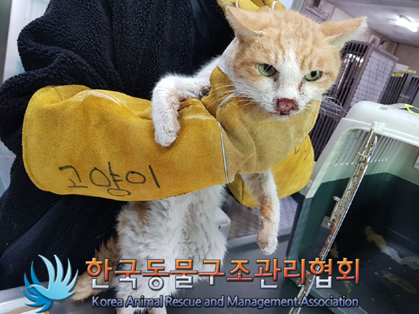 한국동물구조관리협회_411306202400867