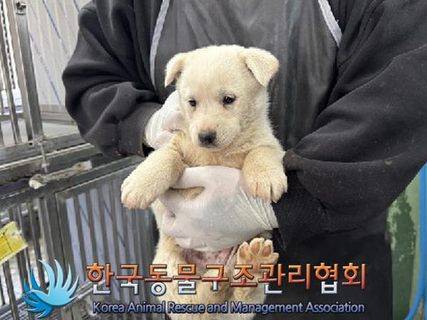 한국동물구조관리협회_441406202402209