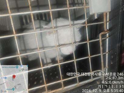 대전동물보호센터_430365202400606