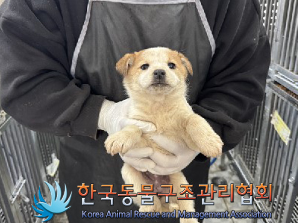 한국동물구조관리협회_441406202402210