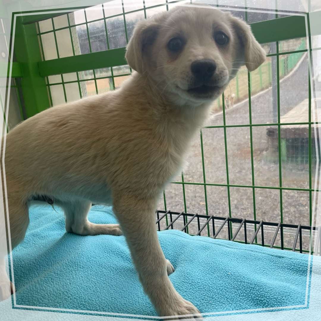 종료(자연사) 믹스…