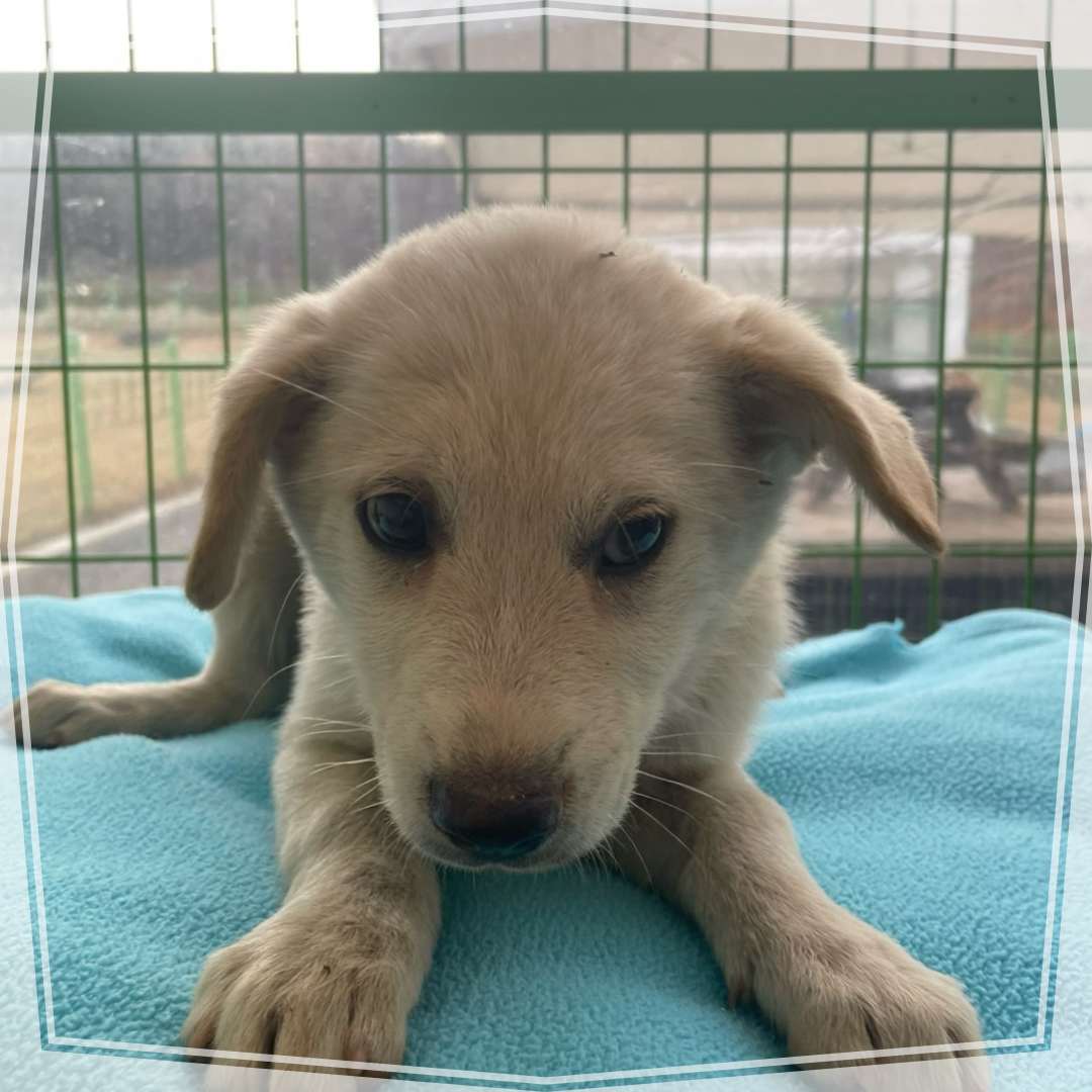 종료(자연사) 믹스…