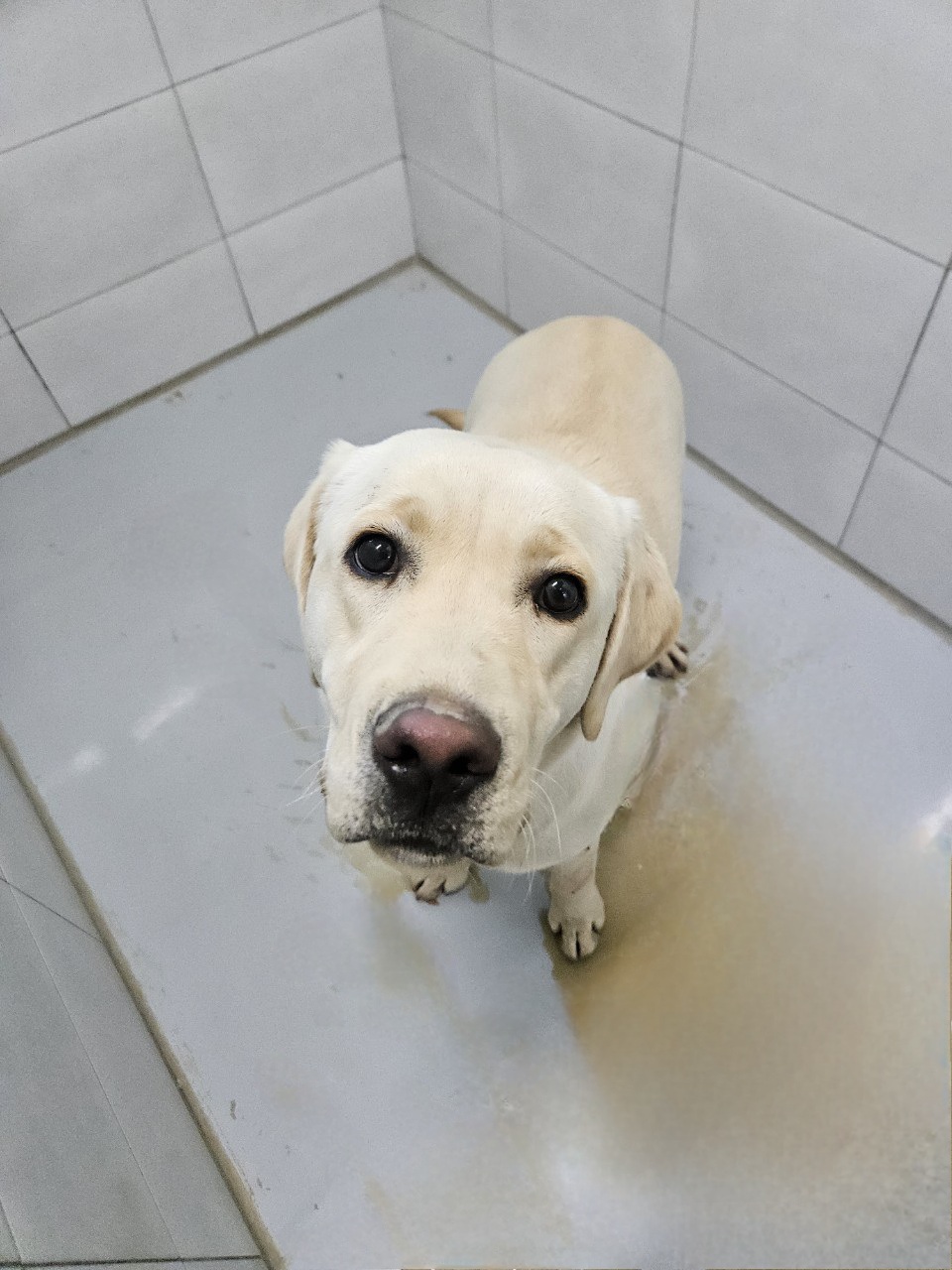 아산동물복지지원센터_444452202402447