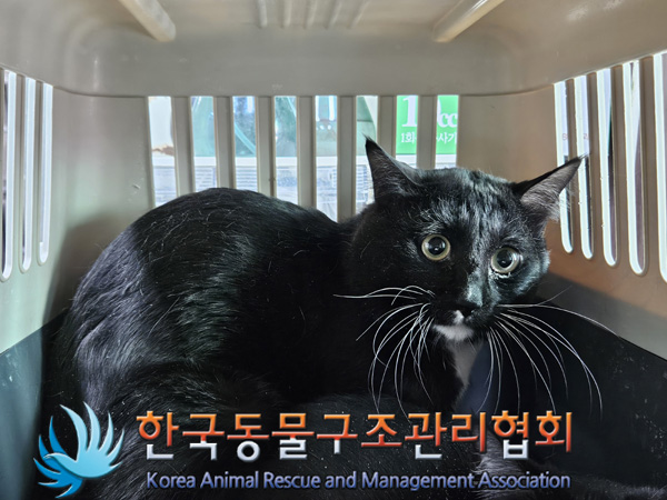 한국동물구조관리협회_411315202400696