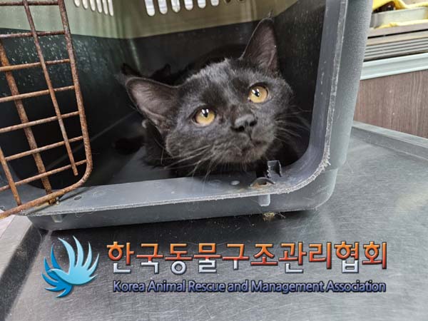 한국동물구조관리협회_411315202400693