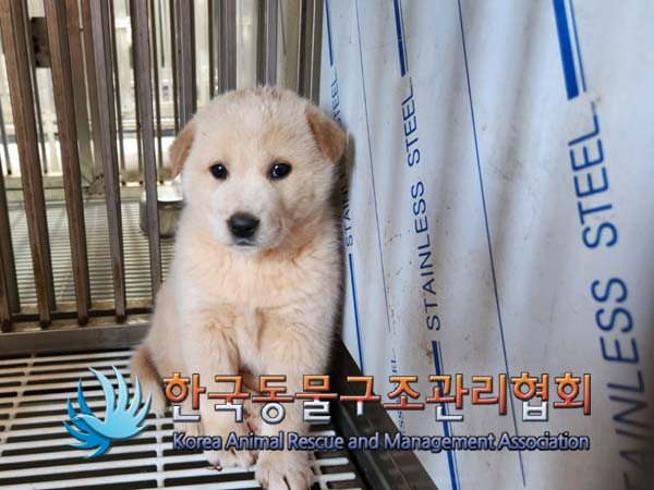 한국동물구조관리협회_441409202402013