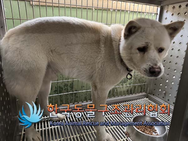 한국동물구조관리협회_441414202401020