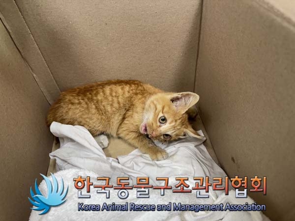 한국동물구조관리협회_441559202401433