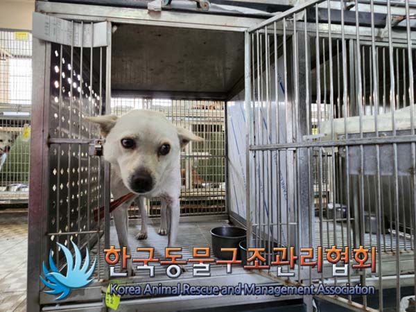 한국동물구조관리협회_441560202401450