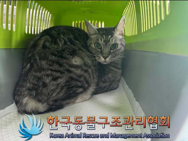 한국동물구조관리협회_411323202401085