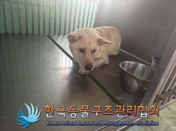 한국동물구조관리협회_441409202402016