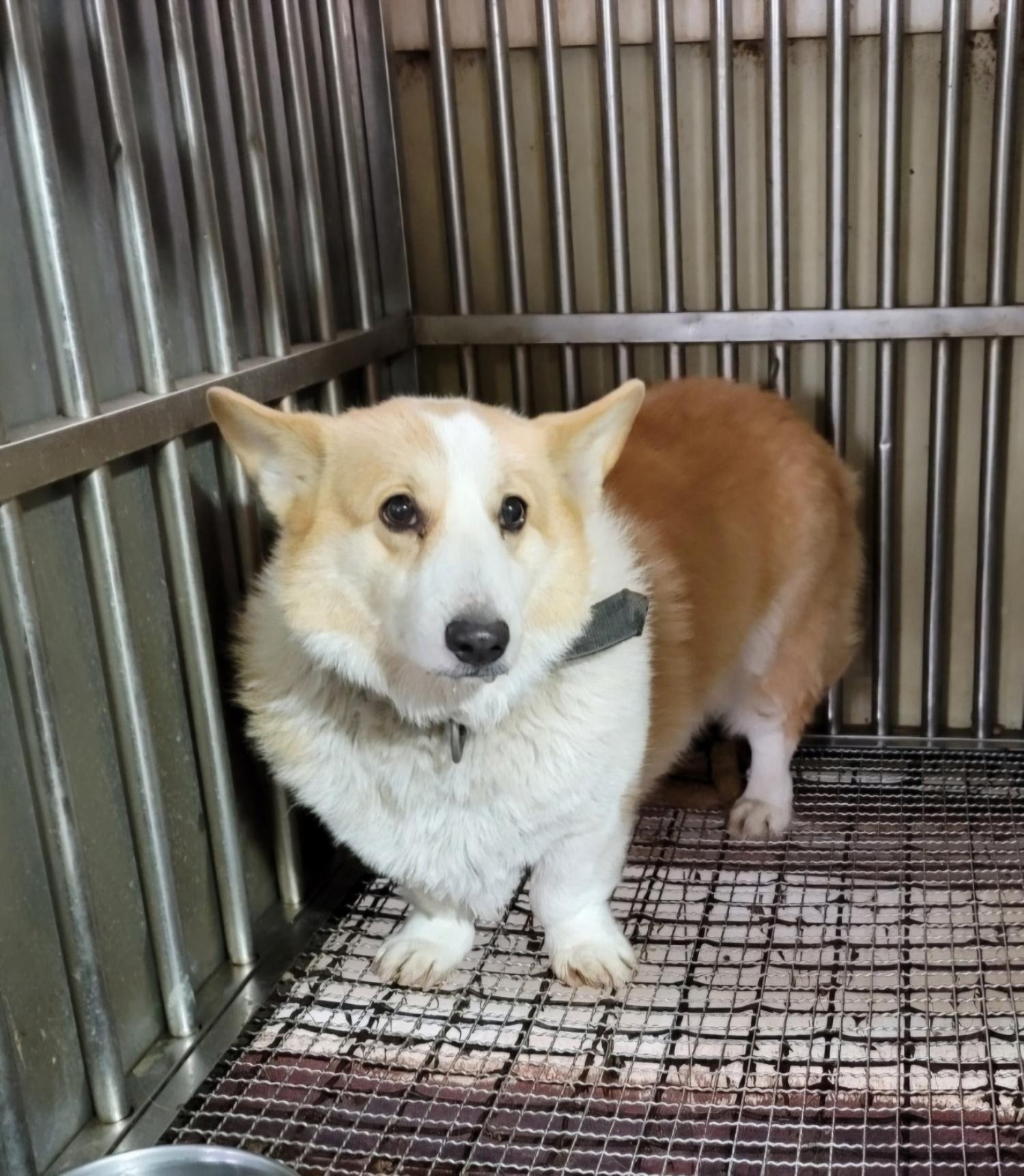 종합축산_447512202400713