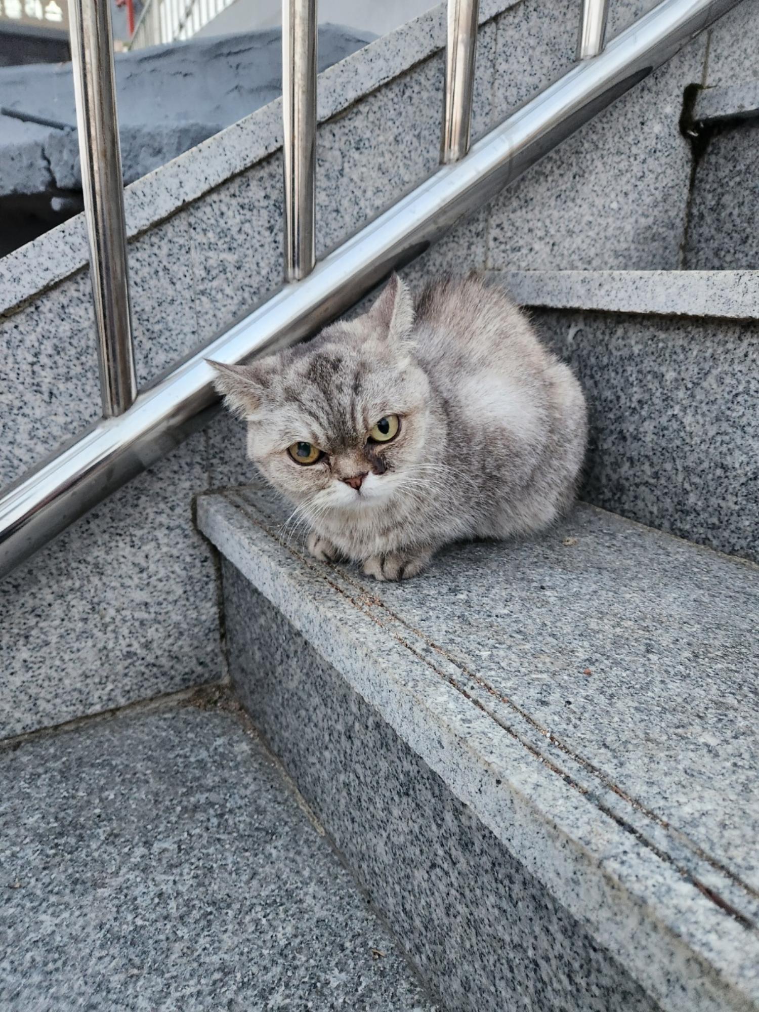 동구종합동물병원_426327202400647