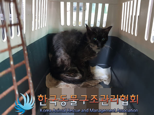 한국동물구조관리협회_411300202400647