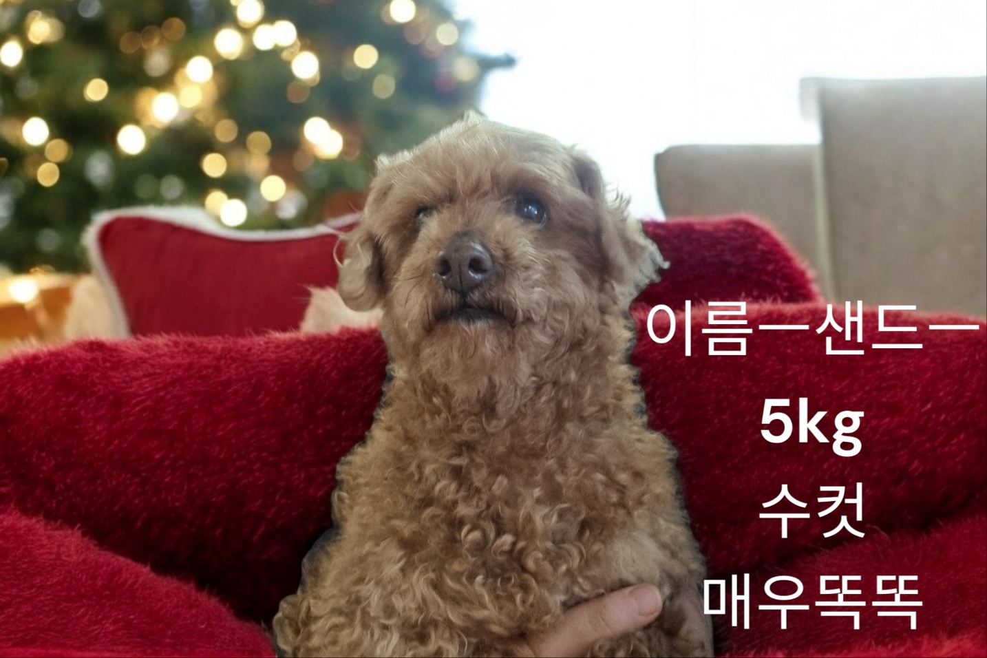 성주유기동물보호센터_447521202400710