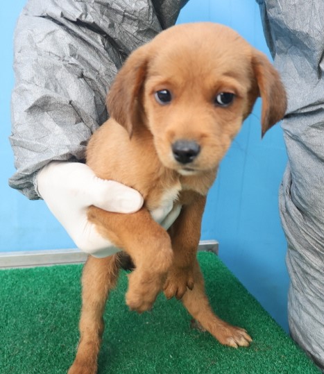 제주 동물보호센터_450650202403720