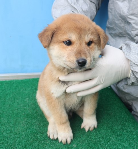제주 동물보호센터_450650202403710