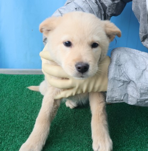 제주 동물보호센터_450650202403711