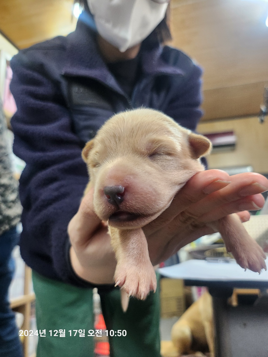 울산유기동물보호센터_431373202402100