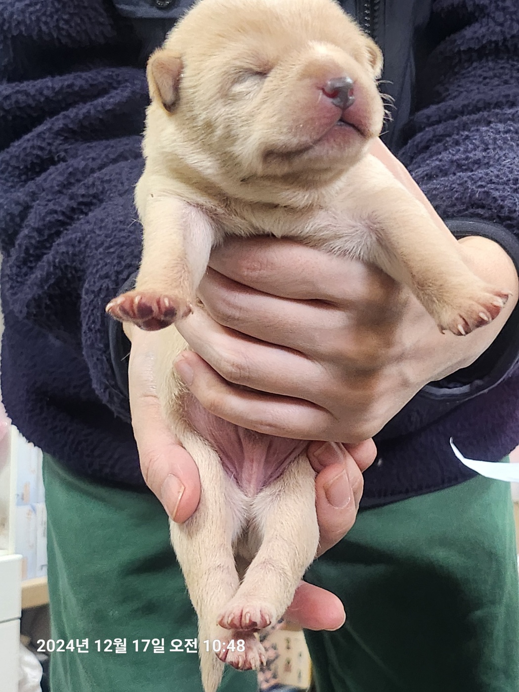 울산유기동물보호센터_431373202402103