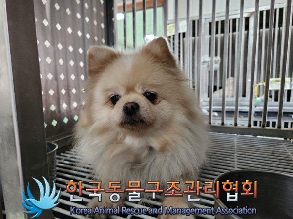한국동물구조관리협회_441382202400862