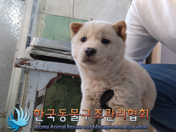 한국동물구조관리협회_441406202402221