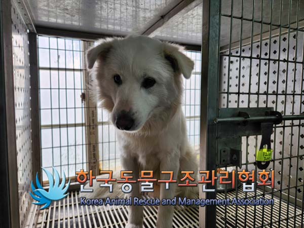 한국동물구조관리협회_441560202401452