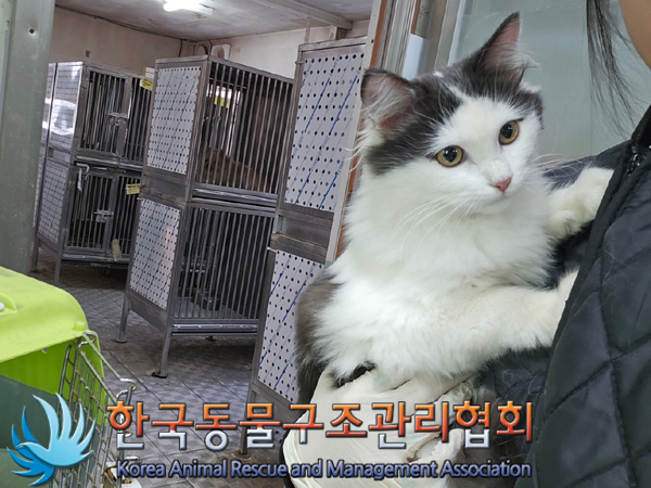 한국동물구조관리협회_411306202400870